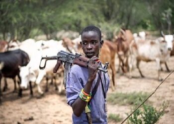 Police Confirm 8 Killed In Farmer-Herder Clash In Borno