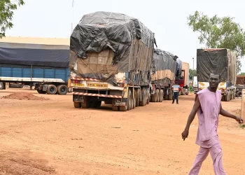 Hundreds Of Trucks With Food And Essentials Reach Niamey