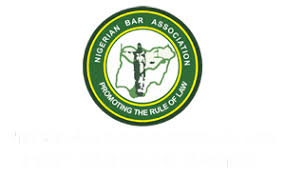 NBA Condemns Judge’s Order for Lawyer to Kneel in Court; Sowore Speaks Out