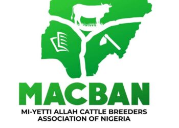 Miyetti Allah Demand End To Killing Of Cattles In Plateau State 