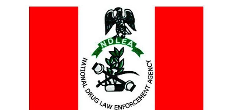 Outrage As Woman Dies in Courtroom After Three Months in NDLEA Custody Without Arraignment