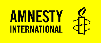 Amnesty Condemns Horrific Mob Killing of Mother of 5 in Kaduna; Alleges Police Handed Victim to Crowd