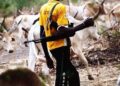 6-Year Probe Finds 79,323 Killed in Nigeria Terror Violence, Fingers Fulani Militias Over Boko Haram