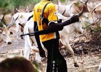 6-Year Probe Finds 79,323 Killed in Nigeria Terror Violence, Fingers Fulani Militias Over Boko Haram