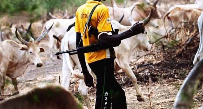 6-Year Probe Finds 79,323 Killed in Nigeria Terror Violence, Fingers Fulani Militias Over Boko Haram