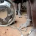 EDITORIAL: Torture Is Not Interrogation. It Is a Crime, and Nigeria Must Finally Say So
