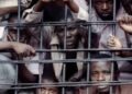 Global prison population hits 11.7 million as UN warns of deepening overcrowding crisis