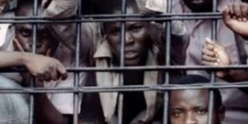 Global prison population hits 11.7 million as UN warns of deepening overcrowding crisis
