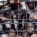 Global prison population hits 11.7 million as UN warns of deepening overcrowding crisis
