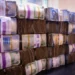 N33.75bn Cash Transfer to 3.29m Households Lacks Proof of Delivery — Auditor-General