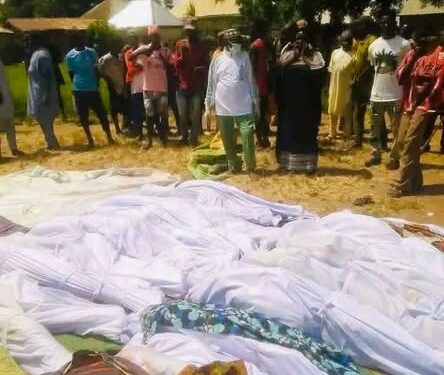 Amnesty Condemns Deadly Taraba Attack, Says at Least 40 Killed in Binnari