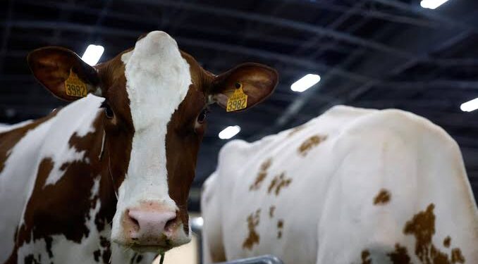 France Reports First Human Case of Shamonda Virus, Authorities Say No Risk to Public